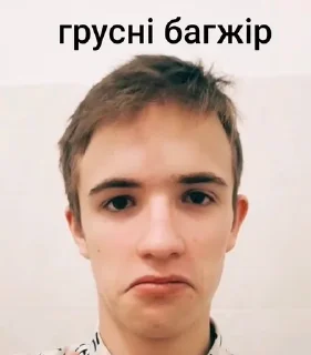 Sticker from Дыня 🇺🇦