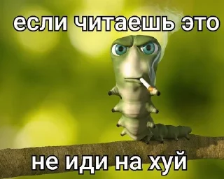 😘 emoji Иди на хуй от @smaili4ka Telegram sticker 24 of 106