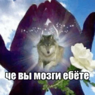 Sticker from пися попа