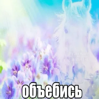 Sticker from пися попа