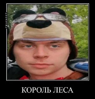 Sticker from топ момент @illi_fiftyy