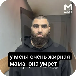 💇 emoji @U_trbya_ochen_jirnaya_mama_ona_u Telegram sticker 23 of 25