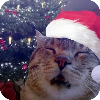 🎄 emoji @STICKRULE <- БОЛЬШЕ Telegram sticker 2 of 24