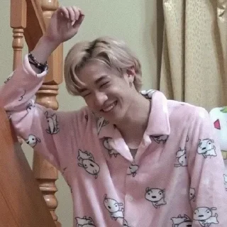 🫧 emoji :stray kids-банчан: Telegram sticker 9 of 25