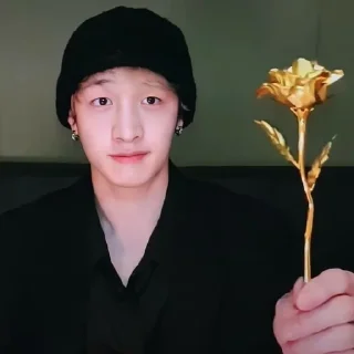 🫧 emoji :stray kids-банчан: Telegram sticker 11 of 25