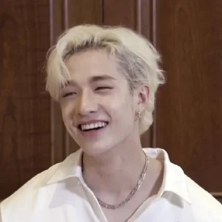 🫧 emoji :stray kids-банчан: Telegram sticker 16 of 25