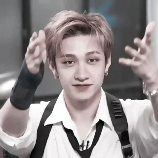 🫧 emoji :stray kids-банчан: Telegram sticker 24 of 25
