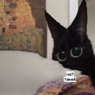 😄 emoji Псина-Тяня сутулая Telegram sticker 8 of 59