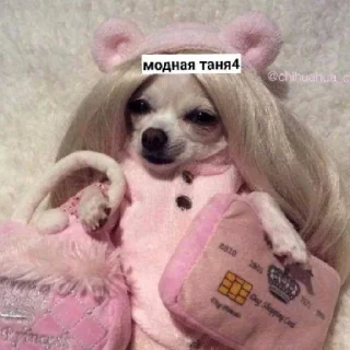 😄 emoji Псина-Тяня сутулая Telegram sticker 22 of 59