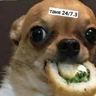 😄 emoji Псина-Тяня сутулая Telegram sticker 6 of 59