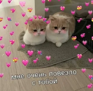 Sticker from Моя любовь