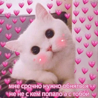 Sticker from Моя любовь