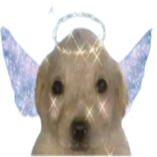 Sticker from pupsikiesmemes5