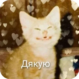 Sticker from УКРАЇНСЬКІ СТІКЕРИ ВІД ФІАЛКИ