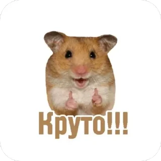 Sticker from УКРАЇНСЬКІ СТІКЕРИ ВІД ФІАЛКИ