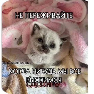 ☠ emoji ДедИнсайдСтикерВащеКпц@Popandopulus2008 Telegram sticker 5 of 64