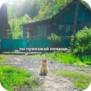 😓 emoji ДедИнсайдСтикерВащеКпц@Popandopulus2008 Telegram sticker 11 of 64
