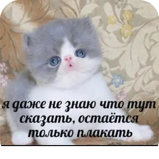 🤯 emoji ДедИнсайдСтикерВащеКпц@Popandopulus2008 Telegram sticker 6 of 64