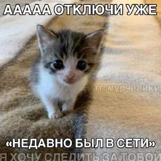 😾 emoji ДедИнсайдСтикерВащеКпц@Popandopulus2008 Telegram sticker 23 of 64