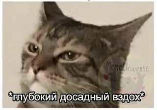 Sticker from Руководство по выживанию