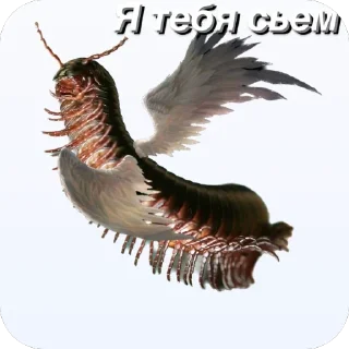 🫥 emoji Сороконожки захватит мир Telegram sticker 10 of 14
