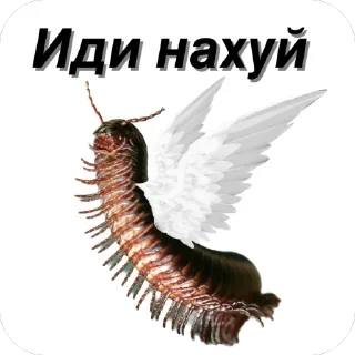 🫥 emoji Сороконожки захватит мир Telegram sticker 6 of 14