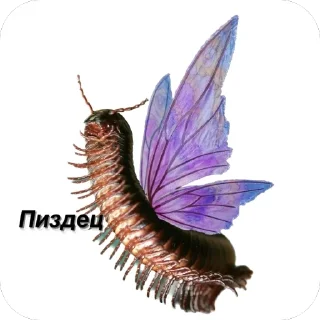 🫥 emoji Сороконожки захватит мир Telegram sticker 3 of 14