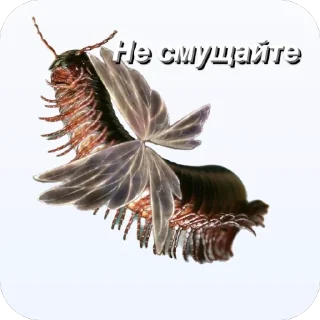 🫥 emoji Сороконожки захватит мир Telegram sticker 11 of 14