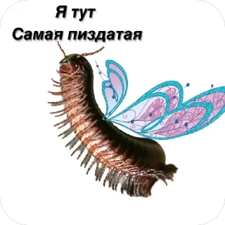 🫥 emoji Сороконожки захватит мир Telegram sticker 2 of 14
