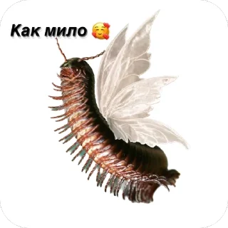 🫥 emoji Сороконожки захватит мир Telegram sticker 1 of 14
