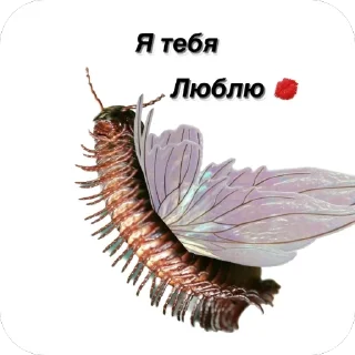 🫥 emoji Сороконожки захватит мир Telegram sticker 4 of 14