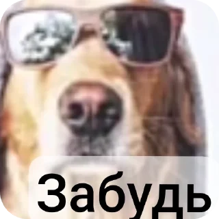 👍 emoji Стикеры термалаhttp://t.me/add Telegram sticker 21 of 29