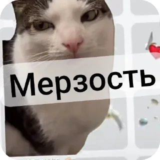 🐱 emoji Стикеры термалаhttp://t.me/add Telegram sticker 12 of 29