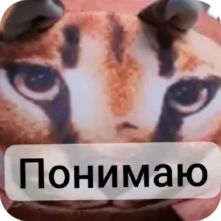 😕 emoji Стикеры термалаhttp://t.me/add Telegram sticker 24 of 29