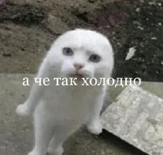 Sticker from создал @w1exxx :: тг стикеры @