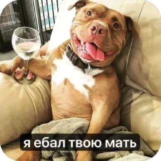 🫥 emoji 1x1 на миду на ножах в говне и Telegram sticker 12 of 116