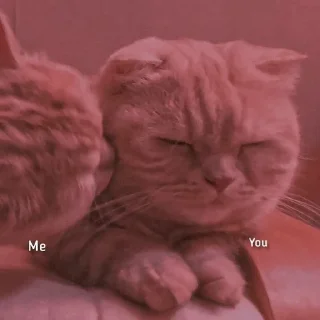 Sticker from love