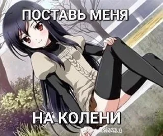 люблю федю sticker 4