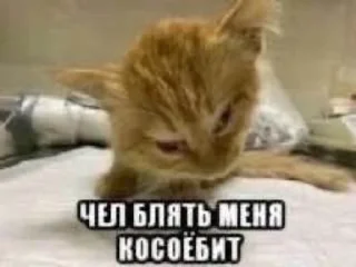 🫠 emoji МАТЬ ТВОЯ- хорошая женщина😽 @Hakaxapa_4 Telegram sticker 17 of 120