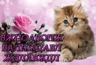 🌷 emoji МАТЬ ТВОЯ- хорошая женщина😽 @Hakaxapa_4 Telegram sticker 18 of 120