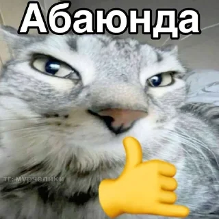 🤙 emoji МАТЬ ТВОЯ- хорошая женщина😽 @Hakaxapa_4 Telegram sticker 23 of 120