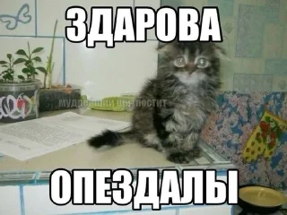 👋 emoji МАТЬ ТВОЯ- хорошая женщина😽 @Hakaxapa_4 Telegram sticker 13 of 120