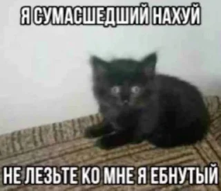🤪 emoji МАТЬ ТВОЯ- хорошая женщина😽 @Hakaxapa_4 Telegram sticker 7 of 120