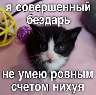 🙃 emoji МАТЬ ТВОЯ- хорошая женщина😽 @Hakaxapa_4 Telegram sticker 8 of 120