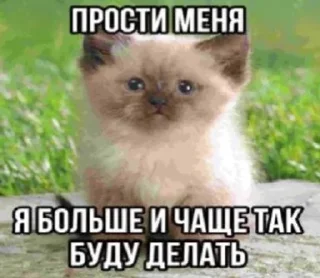 😙 emoji МАТЬ ТВОЯ- хорошая женщина😽 @Hakaxapa_4 Telegram sticker 10 of 120