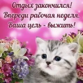 💐 emoji МАТЬ ТВОЯ- хорошая женщина😽 @Hakaxapa_4 Telegram sticker 19 of 120
