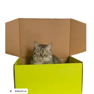 Sticker from Коты аристократы
