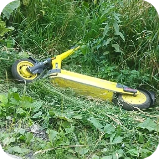 🌱 emoji Ржомба | @m1khailbr_stickerbot Telegram sticker 24 of 38