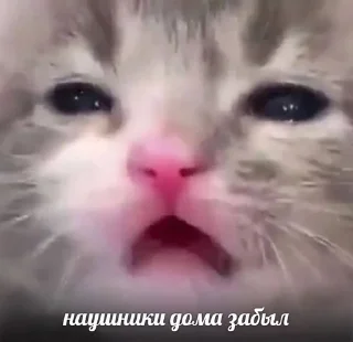 Sticker from как жить