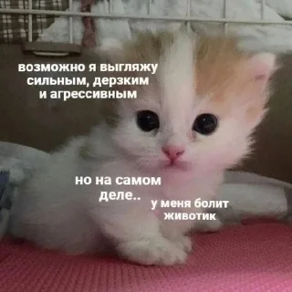 Sticker from как жить